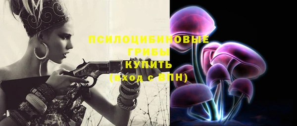 стафф Беломорск