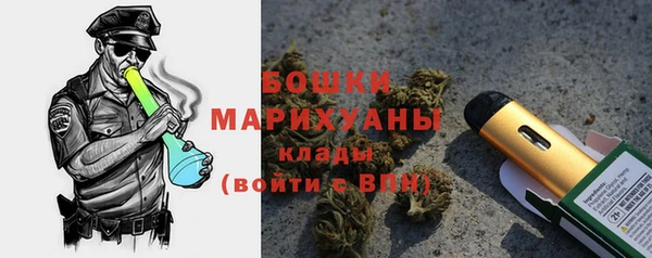 молекула духа Осташков