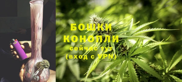 молекула духа Осташков