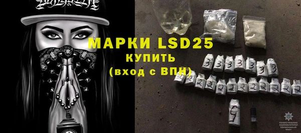 молекула духа Осташков