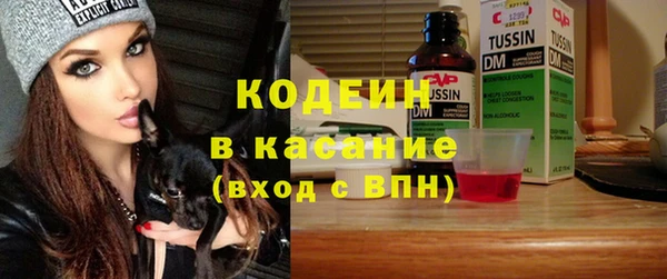 молекула духа Осташков