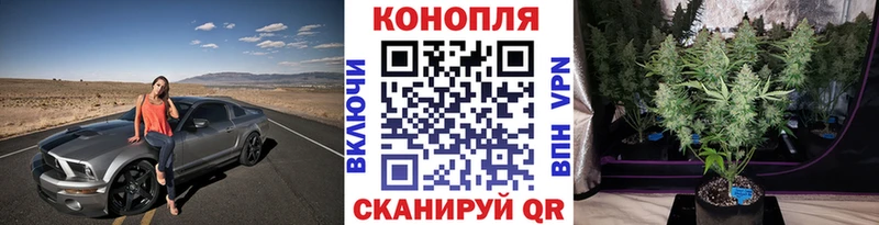 blacksprut сайт  Щёкино  Канабис марихуана 